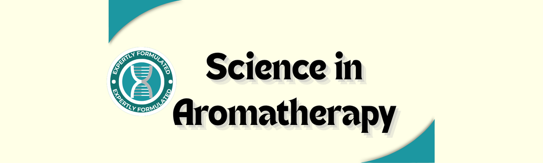 The Science of Aromatherapy: How Scent Connects to the Brain